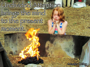 Undivided Attention-Vivi